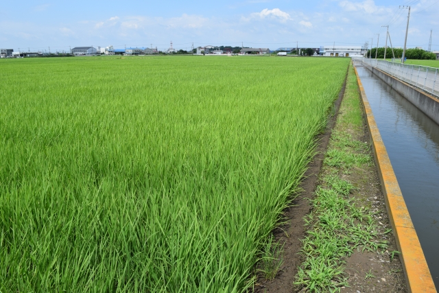 ネオニコチノイド系農薬検査について【ハチミツ・農産物の残留検査 / 河川等の環境中濃度調査】